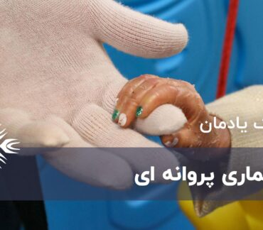 بیماری پروانه ای