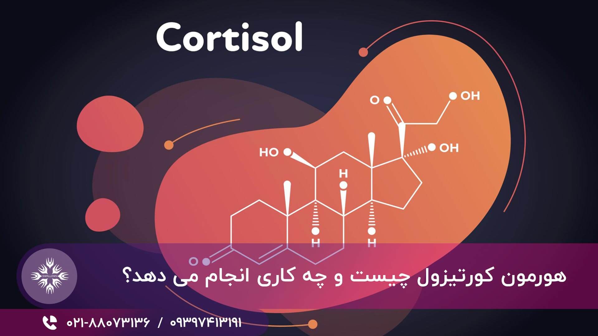 هورمون کورتیزول چیست و چه کاری انجام می دهد؟
