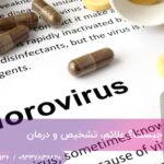 نوروویروس چیست؟ علائم، تشخیص و درمان