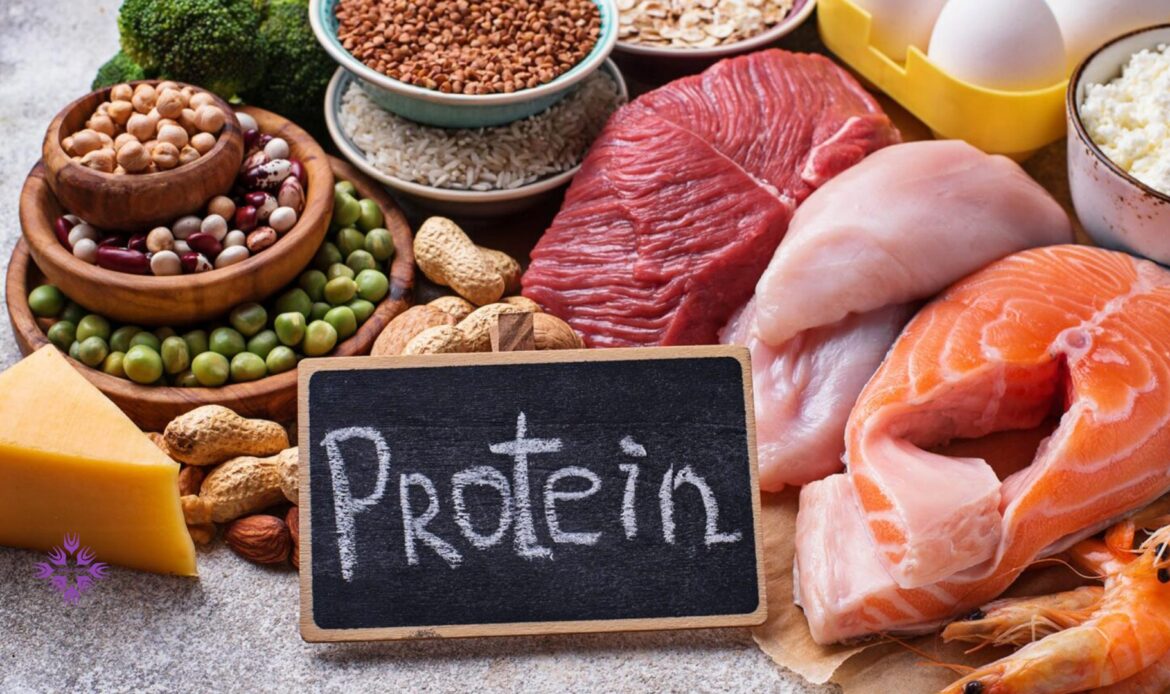 مواد غذایی با پروتئین بالا و کالری