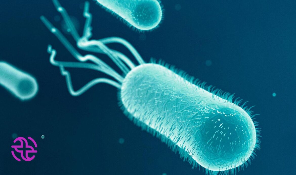باکتریهای ای کولی چیست